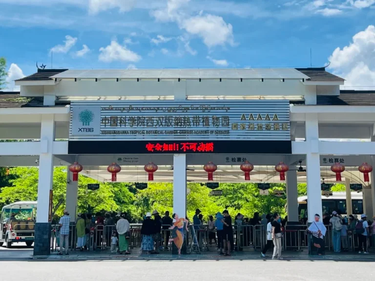 Mengle Botanical Garden 3 中科院西雙版納熱帶植物園,5A 級國家級景區,中國規模最大、物種最豐富的熱帶植物園,是西雙版納雨林探險必訪的植物王國。