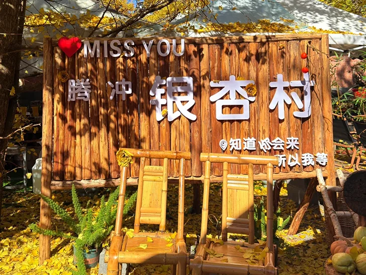 tengchong ginkgo village wooden sign autumn.jpg 寫有騰衝銀杏村的木製招牌被金黃銀杏葉環繞,搭配木椅與秋日陽光,呈現溫暖樸實的景象。