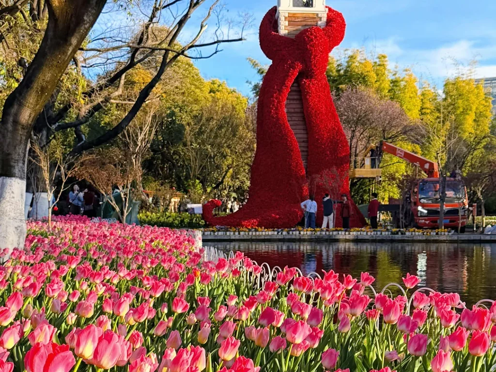 Cuihu Park 1 昆明翠湖公園的春日限定盛景,大片粉紅鬱金香盛開在湖邊,背景是裹著巨型紅色花藝圍巾的鐘樓裝置,是春城春日最火的打卡點。